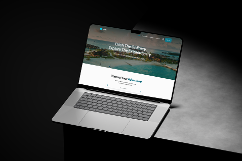 Portfolio item 1